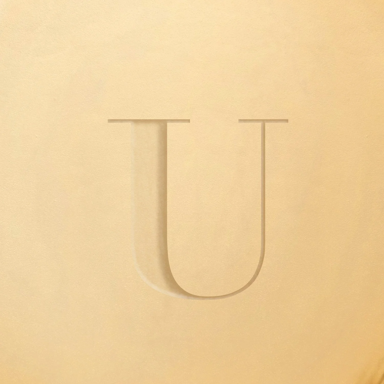 Stamped - Initial Icon - Image 21